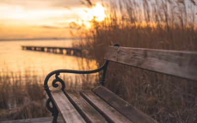 Leadership Lessons to Notice