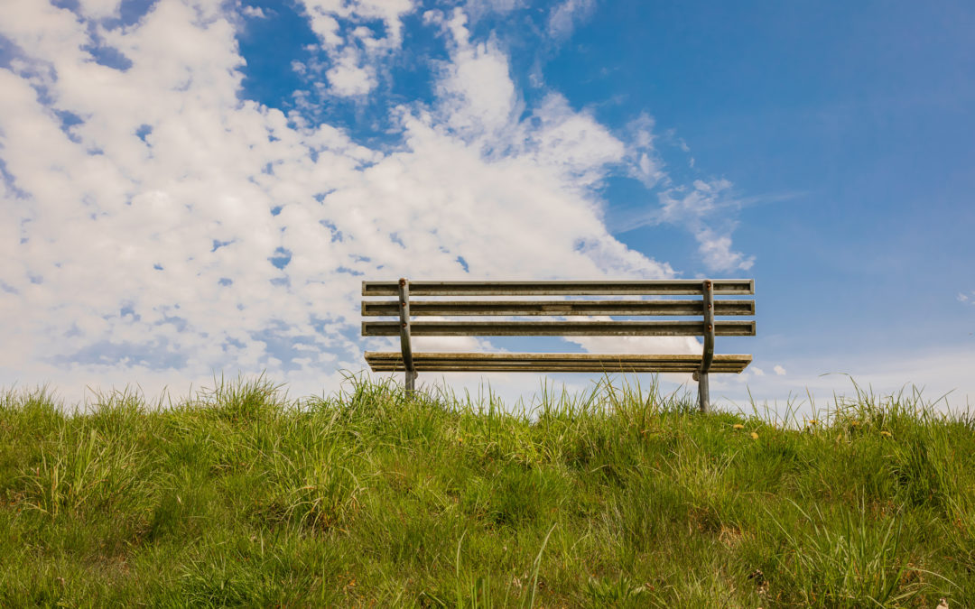 A Child’s Dream Summer & The Family System