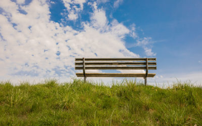 A Child’s Dream Summer & The Family System